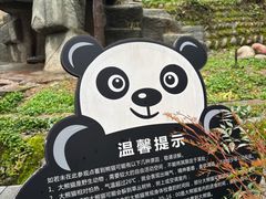 -中国大熊猫保护研究中心雅安碧峰峡基地