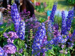 -人民公园(罗湖区)