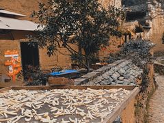-杨家堂村