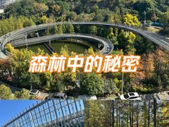 -福道