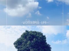 -山明水秀大饭店