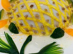 -丁老爷子苏香圆