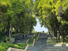 -深圳国际园林花卉博览园