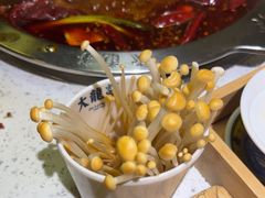 -大龙燚火锅