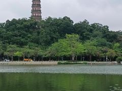 -顺峰山公园