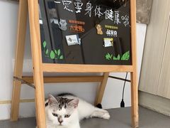 -宠欣安宠物医院·包河区中心医院