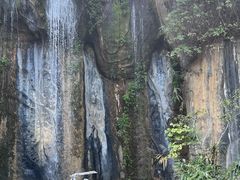 -西双版纳原始森林公园