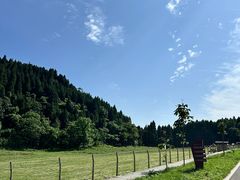 -武陵山森林公园