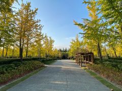 -黄兴公园