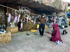 -七彩云南欢乐世界