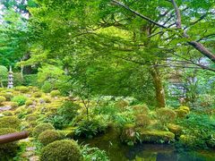 -三千院