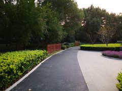 -徐家汇源景区-衡山公园