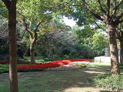 -吴淞炮台湾湿地森林公园烧烤区