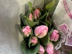 -循礼门鲜花花市(武汉循礼门店)