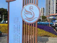 -天鹅湖体育公园