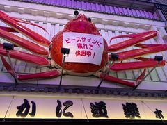-蟹道乐(道顿堀本店)