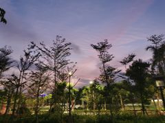 -厦门市图书馆(集美新城馆区)