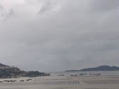 -北岐滩涂