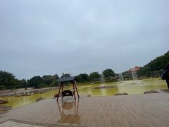 -广东圆玄道观