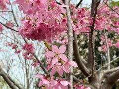 -梁鸿国家湿地公园