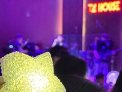 -TZ House音乐现场(来福士中心店)