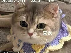 -海底捞火锅(亲贤北街店)