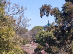 -无锡梅园公园