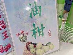 -九里香奶茶果汁(碧湖店)