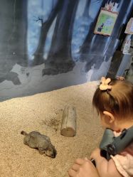 -酷嗒动物文化乐园(cutezoo西溪乐天城店)