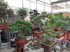 -秦美花卉(天朗·莱茵小城2期店)