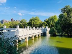 -长兴太湖图影湿地文化园