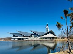 -盐城丹顶鹤湿地生态旅游区