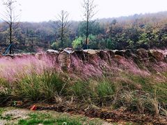 -南京市无想山景区