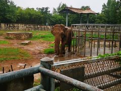 -西安秦岭野生动物园