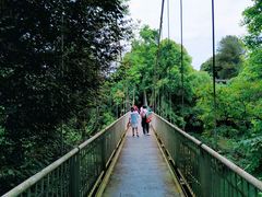 -保利石象湖景区