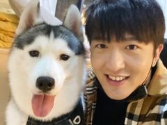 -Husky Go! 哈士奇体验馆·宠物咖啡厅狗咖