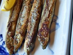 -帝豪水车屋日式精致料理