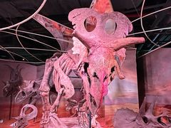 -正佳自然科学博物馆