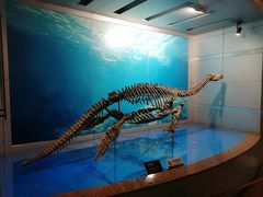 -自贡恐龙博物馆