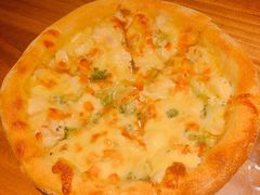 -百好乐宠物友好餐厅(朝外大街店)