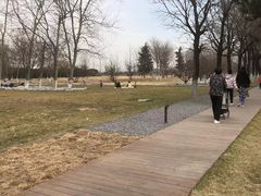 -汉长安城未央宫国家考古遗址公园