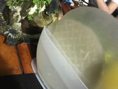 -越海渔村
