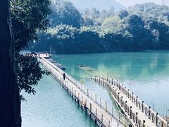 -广州市流溪河国家森林公园
