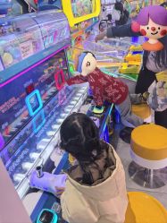 -LuckyStar幸运星家庭娱乐中心(东莞国贸店)