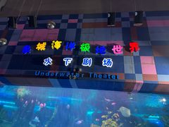 -泉城欧乐堡海洋极地世界