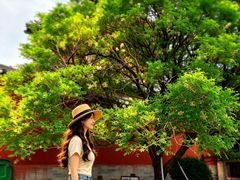 -五台山风景名胜区-罗睺寺