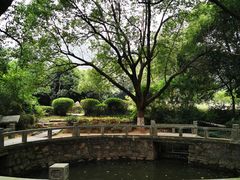 -白马涧龙池景区