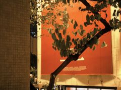 -百老汇电影中心(油麻地店)