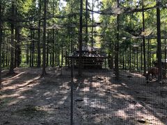 -黄海国家森林公园