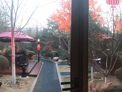 -东方华地城湿地温泉度假区